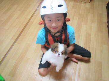 Picture